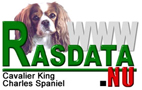 Information om Cavalier King Charles spaniel från Rasdata.nu