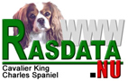 Information om Cavalier King Charles spaniel frn Rasdata.nu