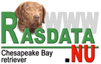 Information om Chesapeake Bay retriever frn Rasdata.nu