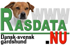Information om Dansk Svensk Grdshund frn Rasdata.nu