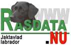 Information om jaktavlade labradorer från Rasdata.nu