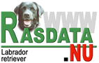 Information om Labrador retriever frn Rasdata.nu