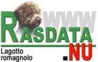 Information om Lagotto Romagnolo från Rasdata.nu
