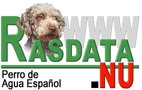 Information om Perro De Agua Espanol från Rasdata.nu