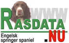 Information om Springer spaniel från Rasdata.nu