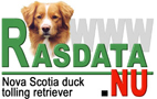 Information om Nova Scotia Duck Tolling retriever från Rasdata.nu